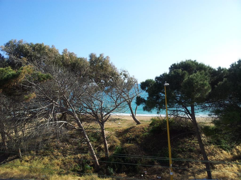 Sicilia Mare Apartments San Leone Room photo